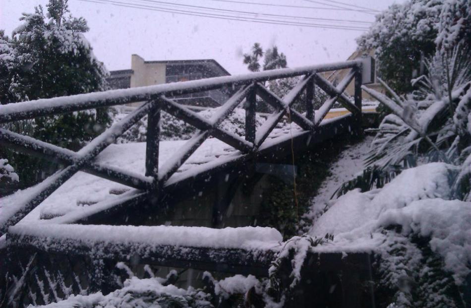 Snow in Maori Hill. Photo by Richard Warlow