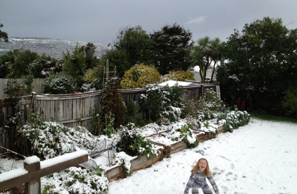 Reader photo by Sophie Barker, Dunedin