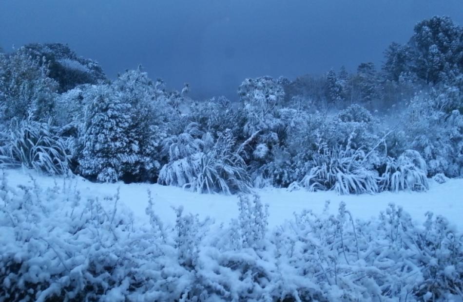 Reader photo from Alex and Kurt Krause from Ross St, Roslyn at 8am