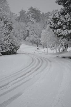 A road near Roslyn in Dunedin. Photo Joshua Taylor