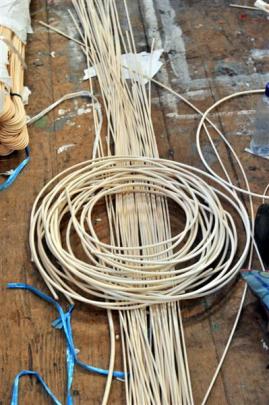 Cane used to build the lanterns.