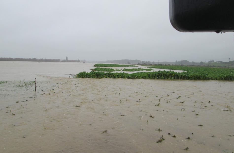 Farmland flooded along Kakanui Valley Rd. Photo by Kath O'Connor.