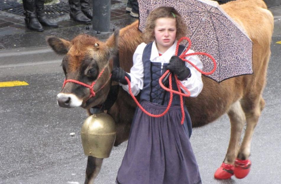 Mooving along . . . An entry in the Queenstown Winter Festival Street Parade. Photo by Tracey...