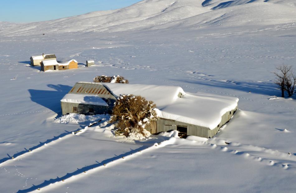 Snow reaches fence tops outside a woolshed in the Ida Valley.