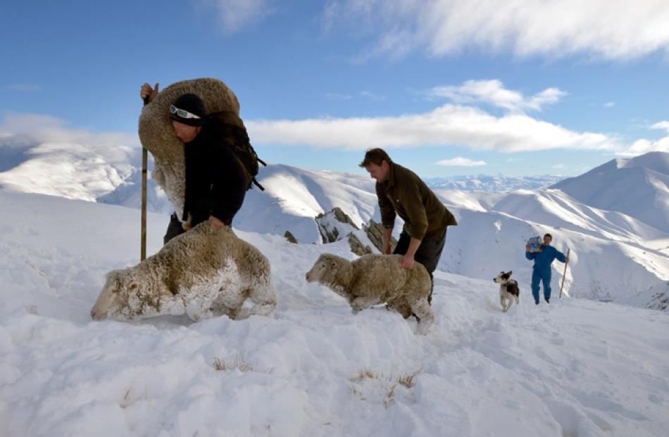 Speight's sales executive Ben Kerr follows snow-raking volunteers David Hutton and Lochie...