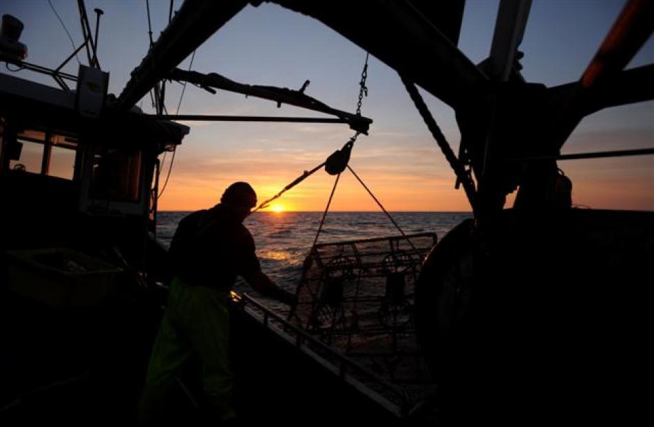 Gone cray fishing | Otago Daily Times Online News