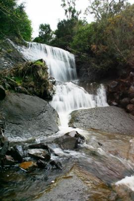 The natural waterfall at Whare Flat, which keeps trout from preying on Otago's endangered native...