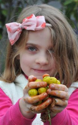 Emily Righarts (7) holds a handful of race-worn  green Jaffas.