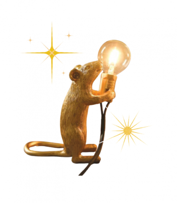 Mouse Light $54 available in Black, White and Gold from Design Widthdrawals