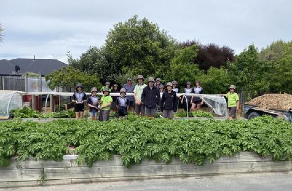 Clearview Primary School claimed the school section in the Rolleston Residents Garden Competition...