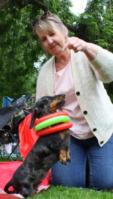 Dapple miniature dachshund Pyper with owner Elaine Frances, of Invercargill.