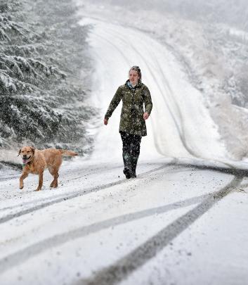 Emma Donovan, of Dunedin, walks with her dog Annie as the snow falls on Flagstaff -Whare Flat Rd,...