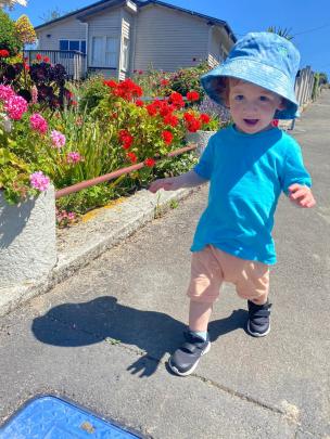 Oliver Adams (23 months), of Sawyers Bay, goes for a walk. PHOTO: FRASER ADAMS