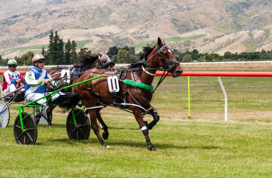 Matthew Williamson drives Mamma Mia to victory in race 2.