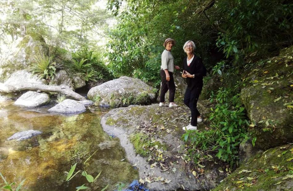 Sisters Viv Roberts and Rachel Wightman explore the Crystal Falls area, at Waipori Falls. PHOTO:...