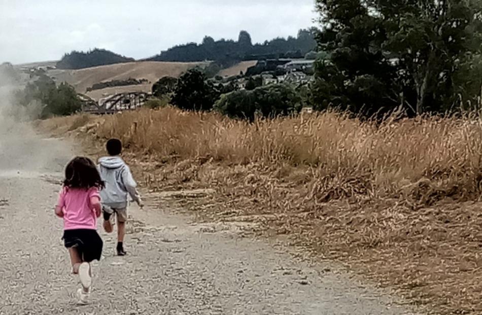 Kingston (7) and Isla (5) Boyce chase a whirlwind along the riverbank in Balclutha. PHOTO: DOREEN...