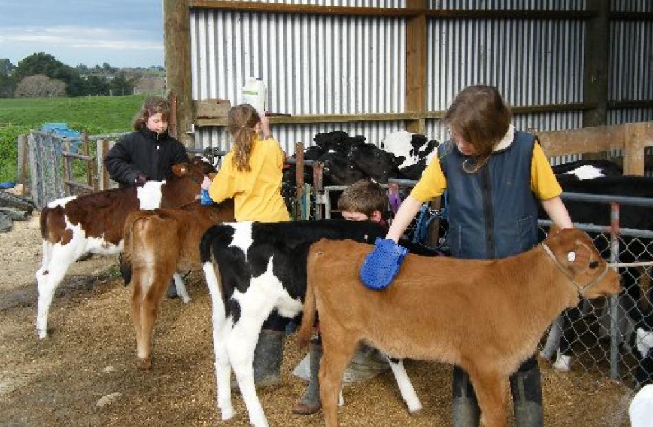 From left, Madison Rawson with Cotton, Courtney Kershaw with Rosie, Jason Kelly with Jinjin and...