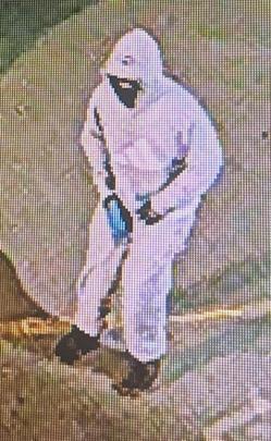 Police have released these photos of the brazen burglars who broke into the Lyttelton police...