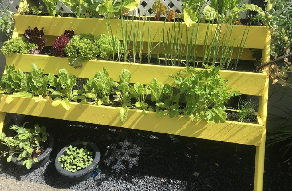 Robyn Dick is almost self-sufficient in vegetables.