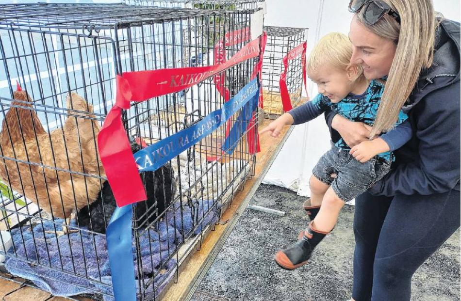 Look at that . . . Hudson Leathen, aged 1, of Kaikoura, shows his mum Shannon the chooks on...