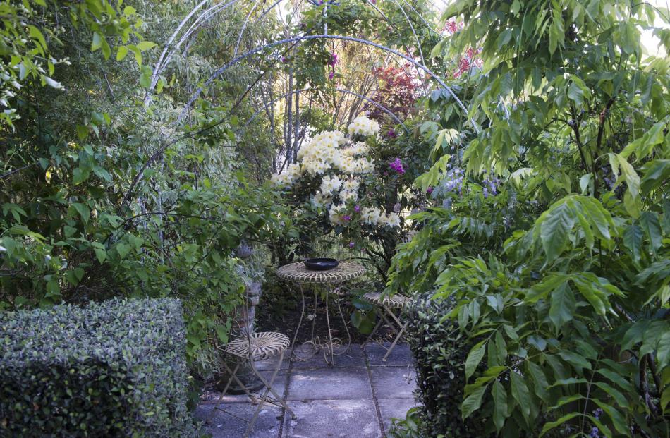 Rhododendron "Betty Tasker" lights up a green corner at Anacapri. PHOTO: ALAIN-LE-TOQUIN