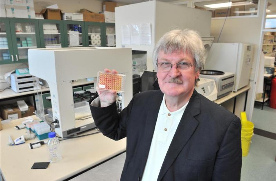 Professor of immunology Frank Griffin, pictured holding a plate of diagnostic serum samples from...