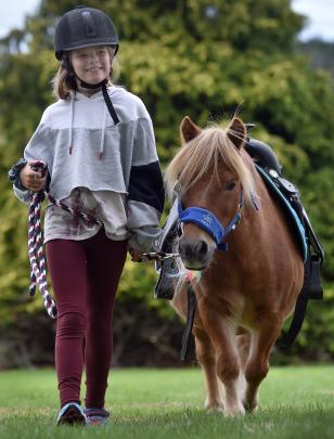 Pearl Mansfield (8), of Dunedin, takes Willy for a walk.