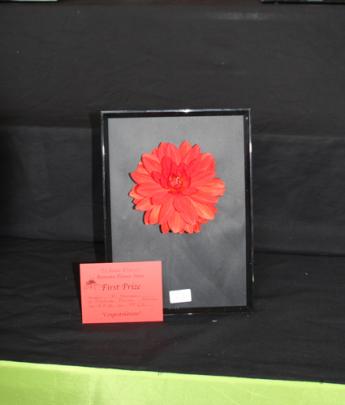  IMG 7032:  “Bring Your Best  Bloom” which was displayed in a picture frame was won by Robyn and...