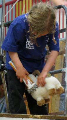 Alexandra youngster Jelena Morrell (4) tries her hand at shearing a soft toy sheep. Jelena won...