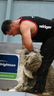 Former open final winner Dion Morrell, of Alexandra, placed second in the New Zealand Merino...