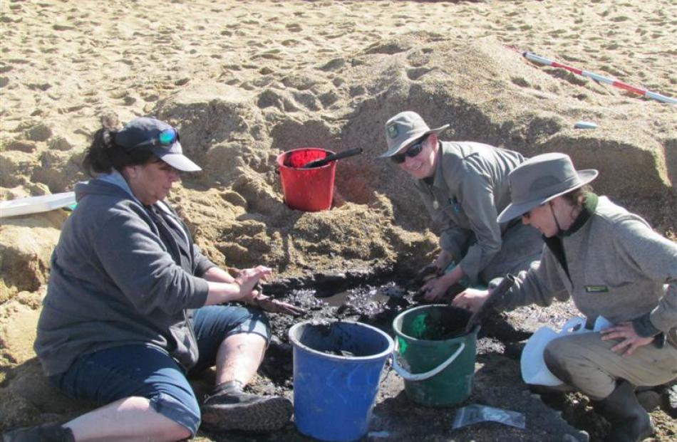 Huia Pacey (left), Shar Briden and Marion Sutton help excavate moa bones from a historic site at...