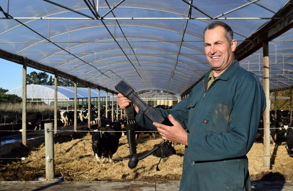 Frei Dairy owner Adrian Frei holds a Halter smart cow collar his herd wears when out of his...