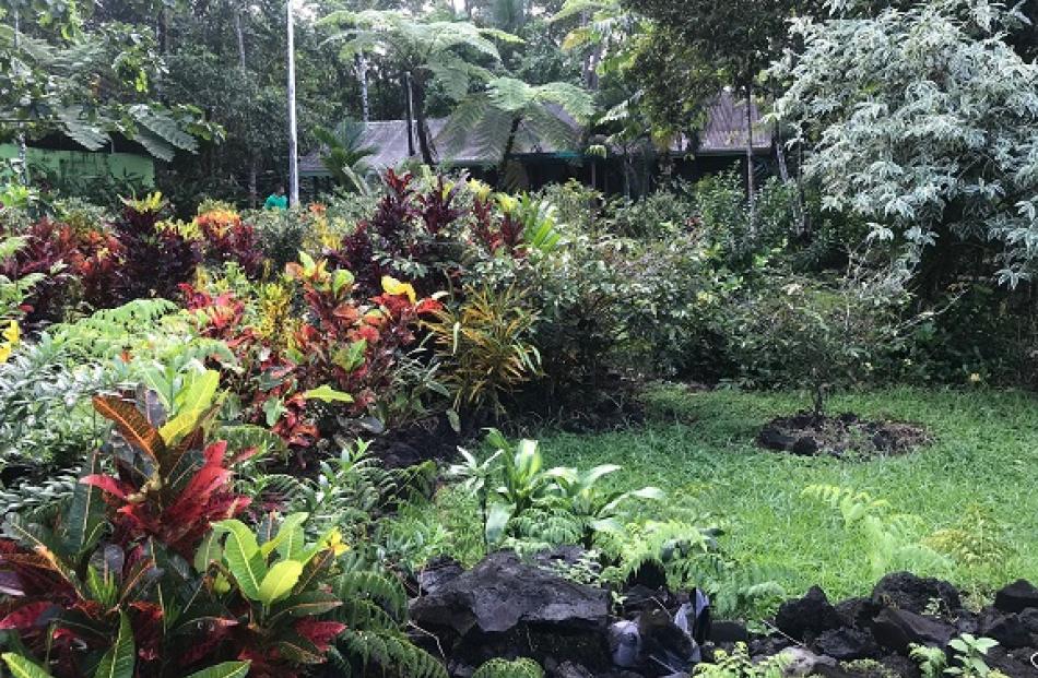 Colour without flowers — foliage at Samoa’s Togitogiga waterfall recreation area.