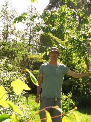 Mr Elms in the random collection of trees, shrubs and plants that make up his food forest.