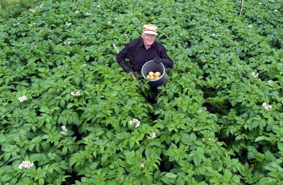 David Jaquiery supplies thousands of potatoes to dozens of family members each year.