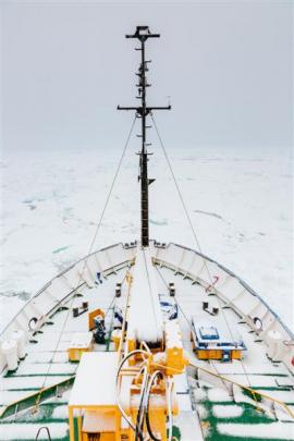 A thin coat of snow dusts the trapped ship MV Akademik Shokalskiy last night.