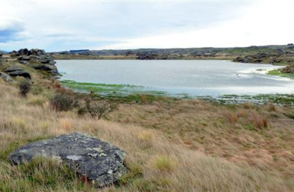 This Sutton water body is New Zealand's only inland saline lake.