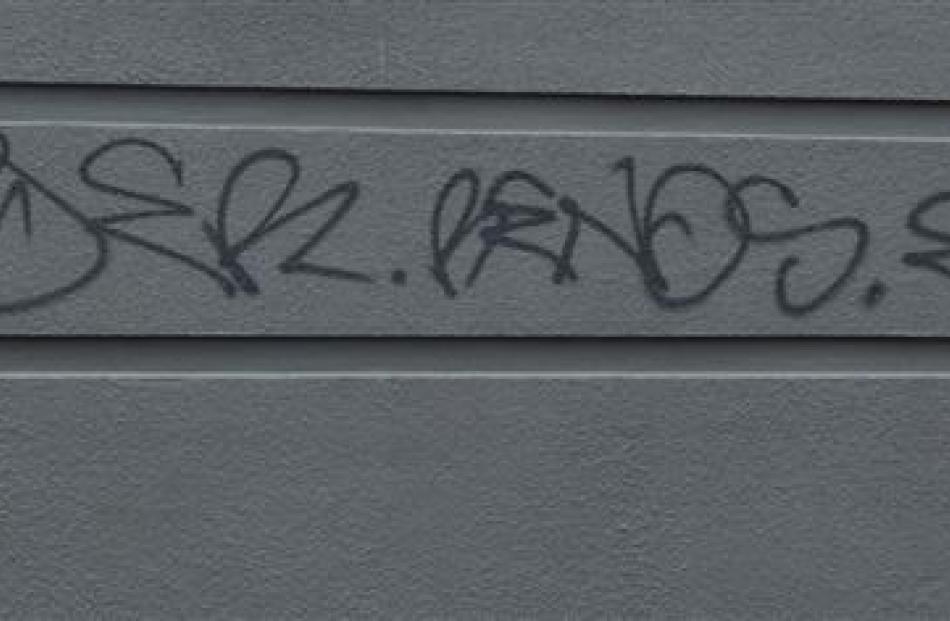 Graffiti spotted around central Dunedin this week.