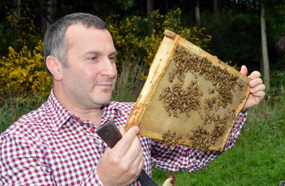 Beekeeper Dave Mills inspects a comb. Photo by Stephen Jaquiery.