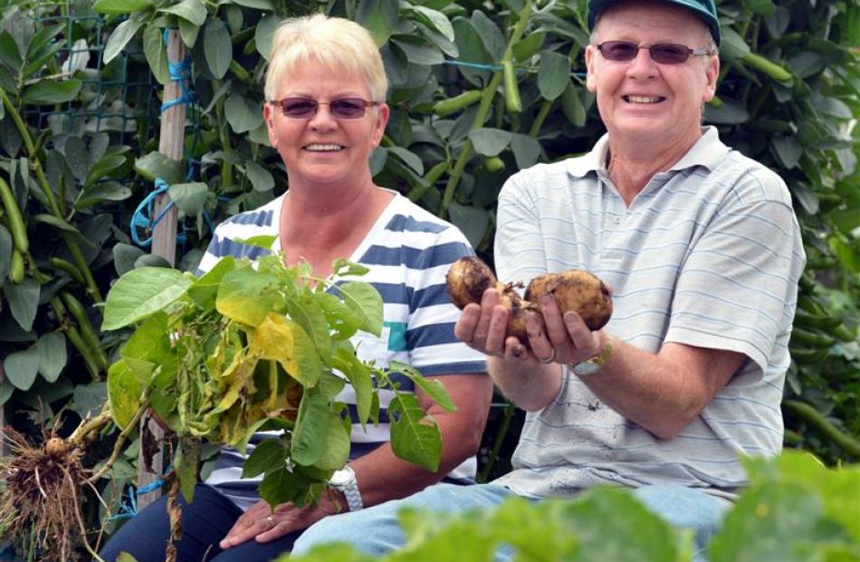 Murray and Raylene Walshaw love nothing more than picking fresh vegetables from their...
