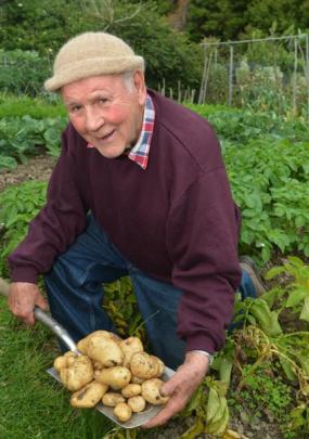 Dick Turvey always has new spuds for Christmas.