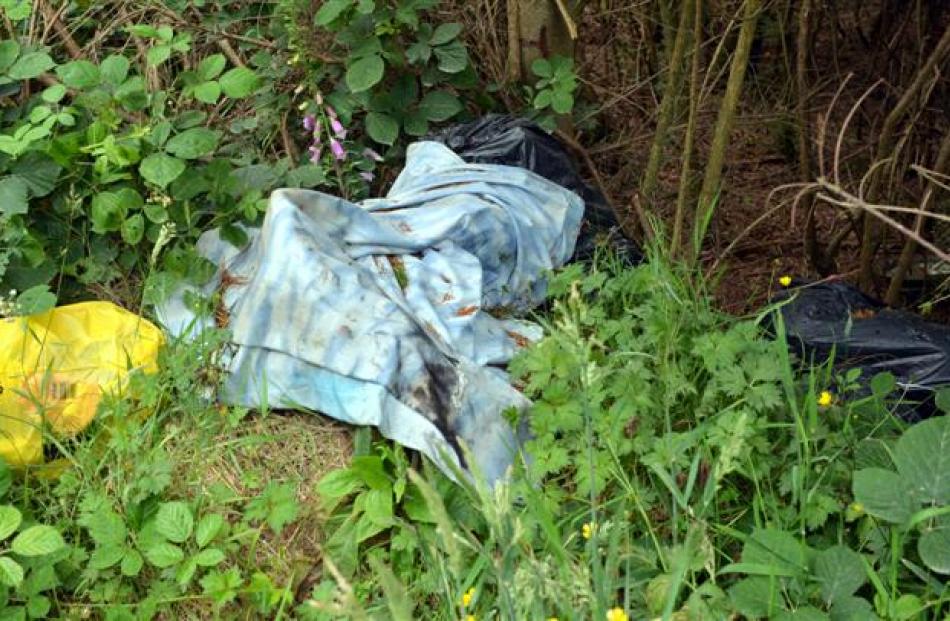 Black bags of rubbish, garden waste and other detritus lie discarded on Flagstaff-Whare Flat Rd,...