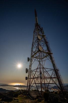 At Mt Cargill. Photo: Brad Phipps