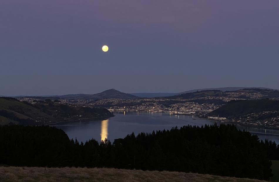 The Moon over Hoopers Inlet. Photo: Nadya Zvyagina