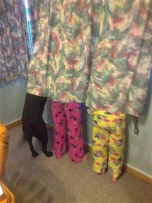 Weekly Winner 3: Hide and seek - Jasmine (6) and Courtney Greer (8) are joined by Roxy the dog as...