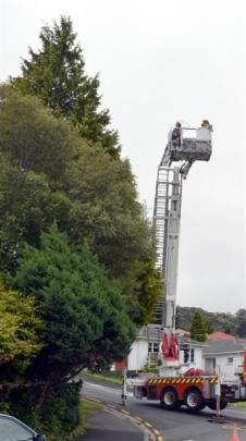 Moo Moo is rescued from her perch by SPCA inspector Julie Richardson and Senior Firefighter Peter...