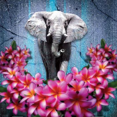 Elephants in the Garden of Gethsemane is a play based on The Ugly Ducking story