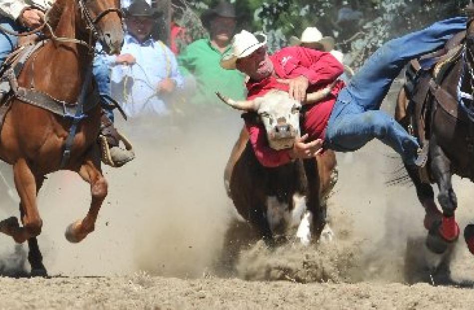 Warren Nichol, of Omakau, tries to wrestle a steer to the ground at the Outram Rodeo yesterday....
