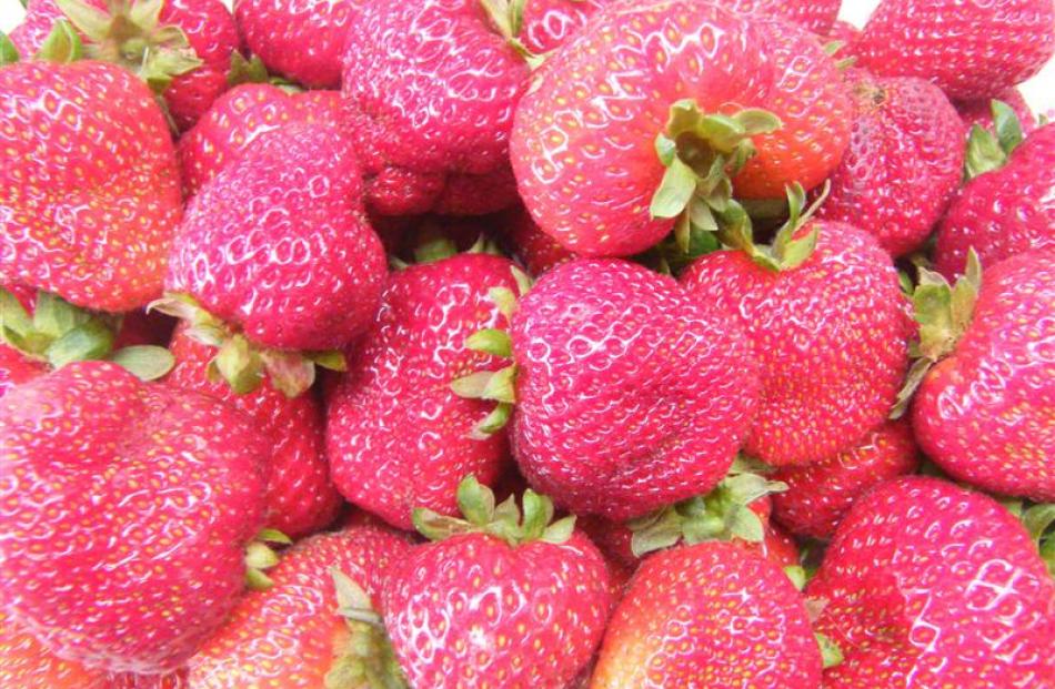 Fresh strawberries make a tempting sight at Butlers Berry Farm and Cafe, near Waimate.