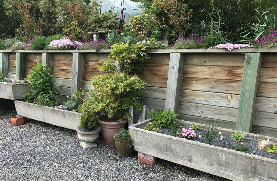 At the base of the carpark wall, troughs of rockery plants give a visual link to the garden above.